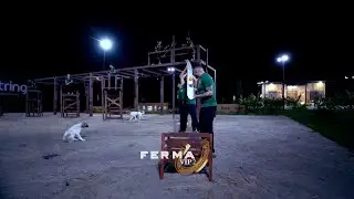 “50 portokalle”, Albano iu shpjegon lojën e buxhetit fermerëve | Ferma Vip