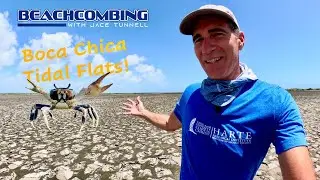 Beachcombing - Boca Chica Tidal Flats