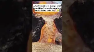 ❤️Ya Allah hum sab ko maaf farma 🤲 Ameen