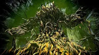 Demon's Souls Remake 1h Leechmonger theme