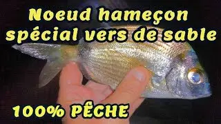 Nœud de pêche pour hameçon à palette (spécial vers de sable)