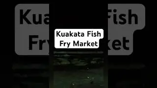 Kuakata Fish Fry Market #trending #travel #beach #shortsfeed #food #fishing #seafood #fish