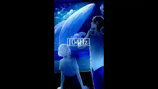 104Hz  cover