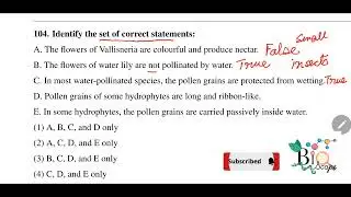 Identify the set of correct statements - Vallisneria, Water Lily, Hydrophytes, Water pollination