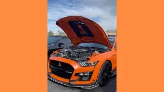 SHELBY GT500 PREDATOR #shorts