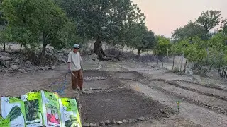 Nomadic Traditional Garden & Fresh Vegetables 🌿 | Old Farming Methods