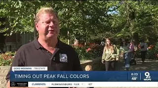 Fall Color Forecast: Will the area get vibrant fall colors?