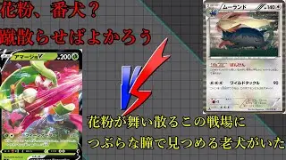 【エクストラ】エクストラカップ２０２５第八試合！アマージョVSホルビーコントロール！！
