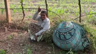 दगडावाणी पार मि झिजून झिजून चालली…
