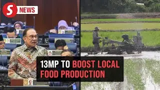 13MP: Agriculture to focus on tackling food import dependence, says Anwar
