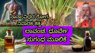 Lavancha dhurve garke hullu. Harbel healthy products. Foods powder .Lavancha please 