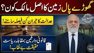 Horse Breeding Land Case: Legal Heirs&rsquo; Rights & Court Decision Explained