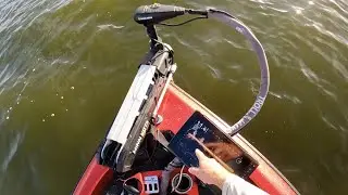 Приманки для ловли окуня во Флориде с помощью LiveScopeing | Система озер Харрис