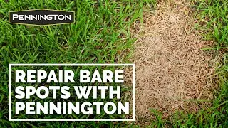 Fix Bare Spots in Your Lawn with Pennington&reg; One Step Complete (15 second video)