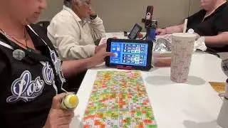 BINGO fun