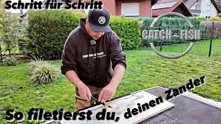 Schritt f&uuml;r Schritt, so filetierst du deinen ersten  Zander, Zander filetieren, so gehts!
