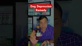 Dog Depression Remedies