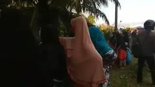 viral....Dua ekor ular king kobra lagi k4w1n  ( NAGAN RAYA)