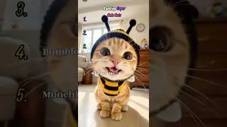 Ranking Super Cute Kittie!😸🤗 #catshorts #catshorts #funnycats #catvideos #cuteanimals