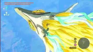 Little meet with Light Dragon ✨💎| TOTK 🐉💧