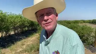 Bakersfield's Murray Family Farms attraction, Pt. 2 - Farm Country