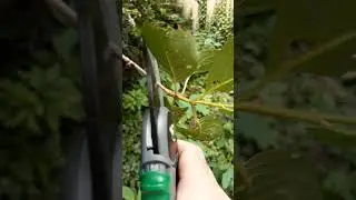 #calmingvideos #satisfyingcut #peacefulviews #aestheticlife #rurallife #manandnature #slowvibes #new