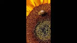 Impressions from Seed Meets Technology 2025