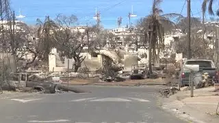 Maui wildfire saga moves from investigation to prevention