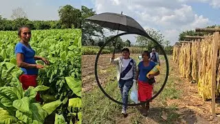 Doña Irma Se Llevo A Su Nuera Carmen A Trabajar Al Campo😱