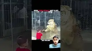 Animals can't break the glass..until monkey shows up #animals #wildlife #trending #shorts