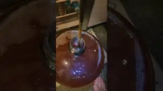 Step 6 of the homemade wine!  Degassing?! #wisconsin #homemade #wine #diy #yummy #fun #fyp