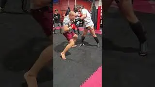 Apex Kickboxing Fight Team training, two weeks out from WKA Nationals.