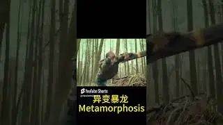 Man attacked by snake! #Thriller #Adventure #ResurrectionJurassic #shorts
