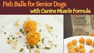 Fish Balls for Senior Dogs with Canine Muscle Formula | Supplement Treats for Dog | MyPetcipe