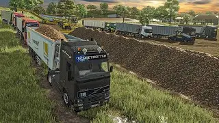 J'ai Embauché 10 Chauffeurs de Camion pour Transporter mes Betteraves | FS25 Réalisme au MAX