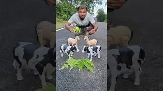 Распаковка пульта дистанционного управления 4 Ta Horse And Caw 😱 #животные #шорты