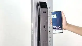 Face Recognition Smart lock TDM-SF300