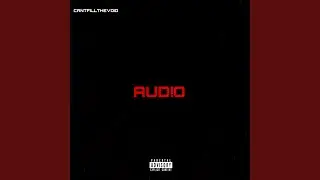 AUD!O