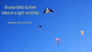 Illusion Delta & other kites on another light-wind day
