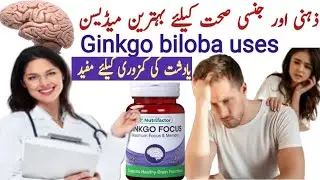 Ginkgo biloba benefits in urdu | Ginkgo biloba tablet uses in hindi | Ginkgo biloba | Brain health