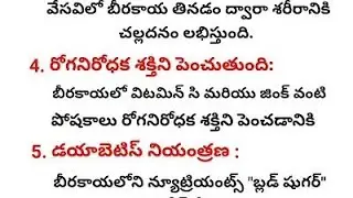 బీరకాయ