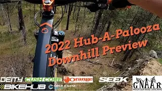 2022 Hubapalooza DH Course Preview