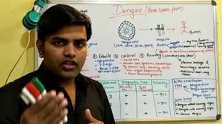 डेँगु ज्वारो सम्बन्धि जानकारी Dengue in Nepali language for Nepali people