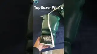 TopBoxer&rsquo;s Win1 16oz Lace-up Gloves with Their Gladiator Headgear