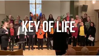 Key of life (Anders Widmark)