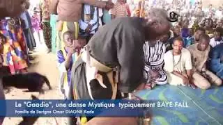 THIES - Gamou 2017: Reportage sur le  Gaadio, une danse mystique Baye FALL