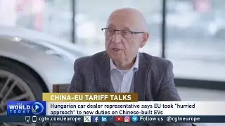 Hungarian car chief calls for cooperation with China