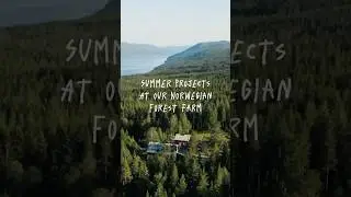 Summer projects at our Norwegian forest farm  #norway #farm #farmlife