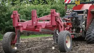 Post harvest cultivations 2020