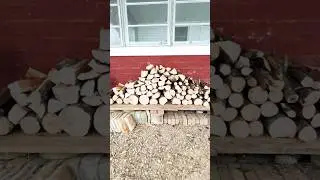 1 день заготовки древесины #дуб #поваленныедеревья #энергия